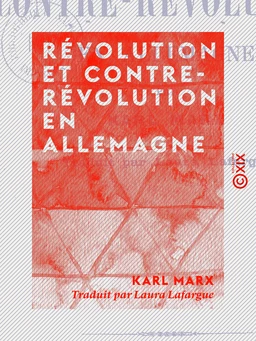 Révolution et Contre-Révolution en Allemagne