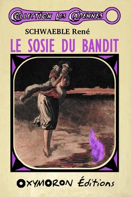 Le sosie du bandit