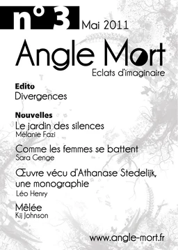 Angle Mort numéro 3