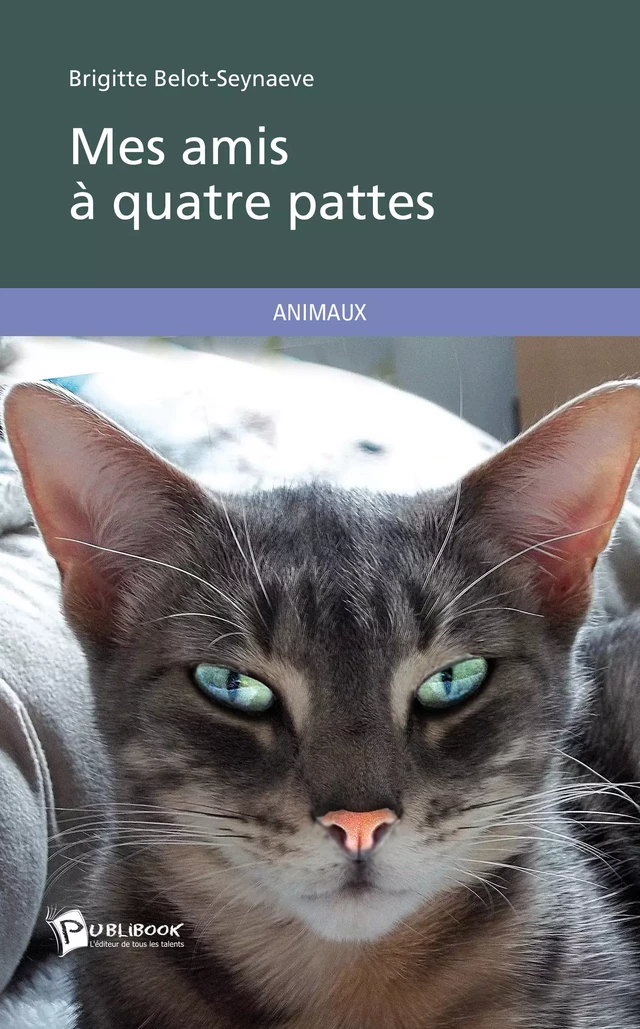 Mes amis à quatre pattes - Brigitte Belot-Seynaeve - Publibook