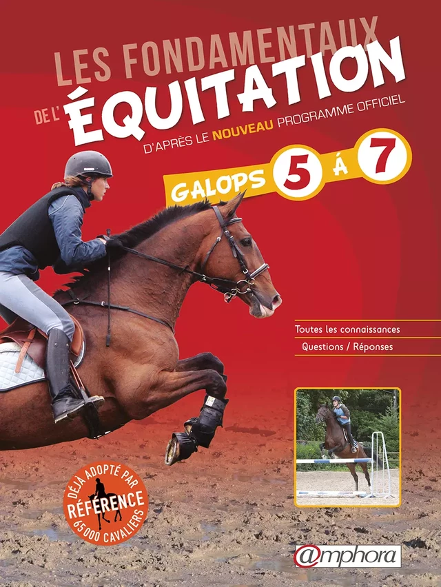 Les fondamentaux de l'équitation - Galop 5 à 7 - Catherine Ancelet - Amphora