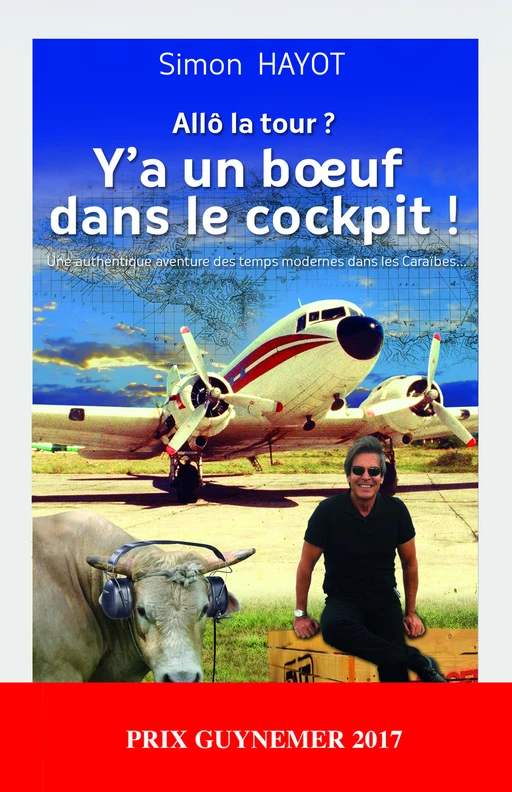 Allô la tour ? Y'a un bœuf dans le cockpit - Hayot Simon - Mareuil Éditions