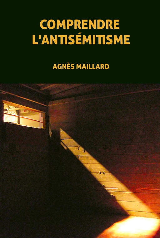 Comprendre l'antisémitisme - Agnès Maillard - Le Monolecte