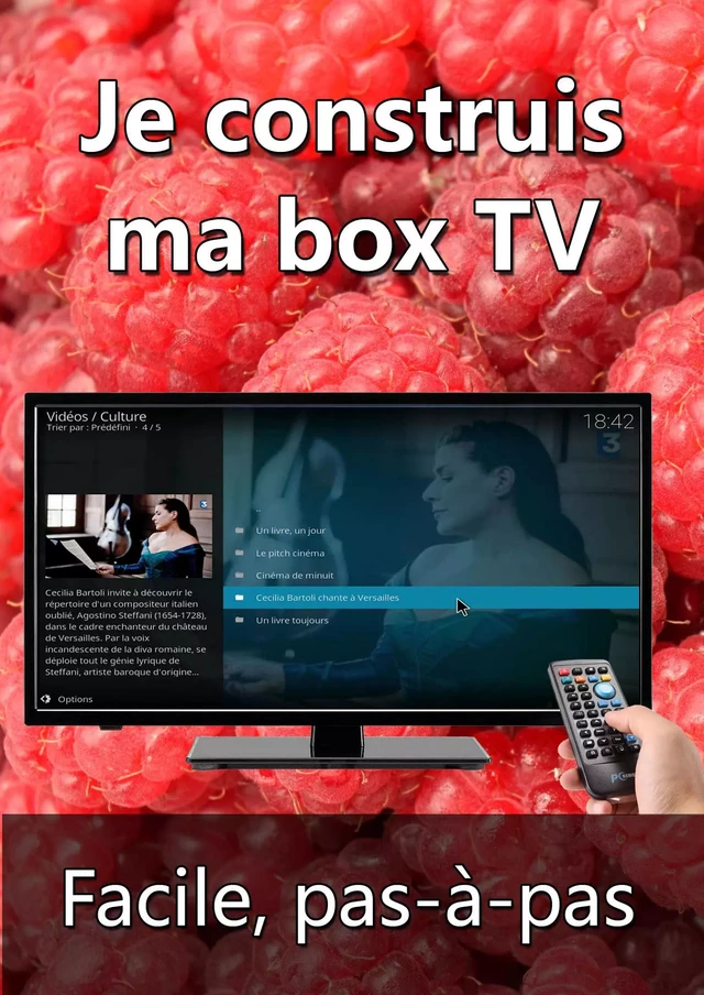 Je construis ma box TV - Michel Martin - Mediaforma