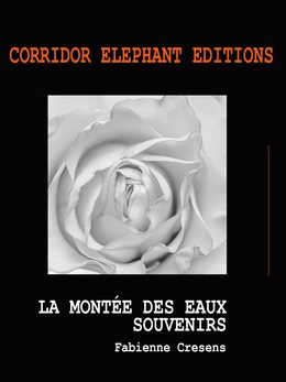 La montée des eaux - Souvenirs