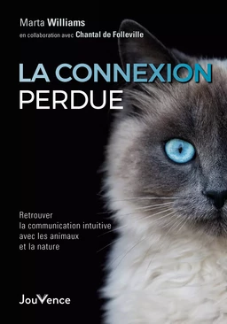 La connexion perdue