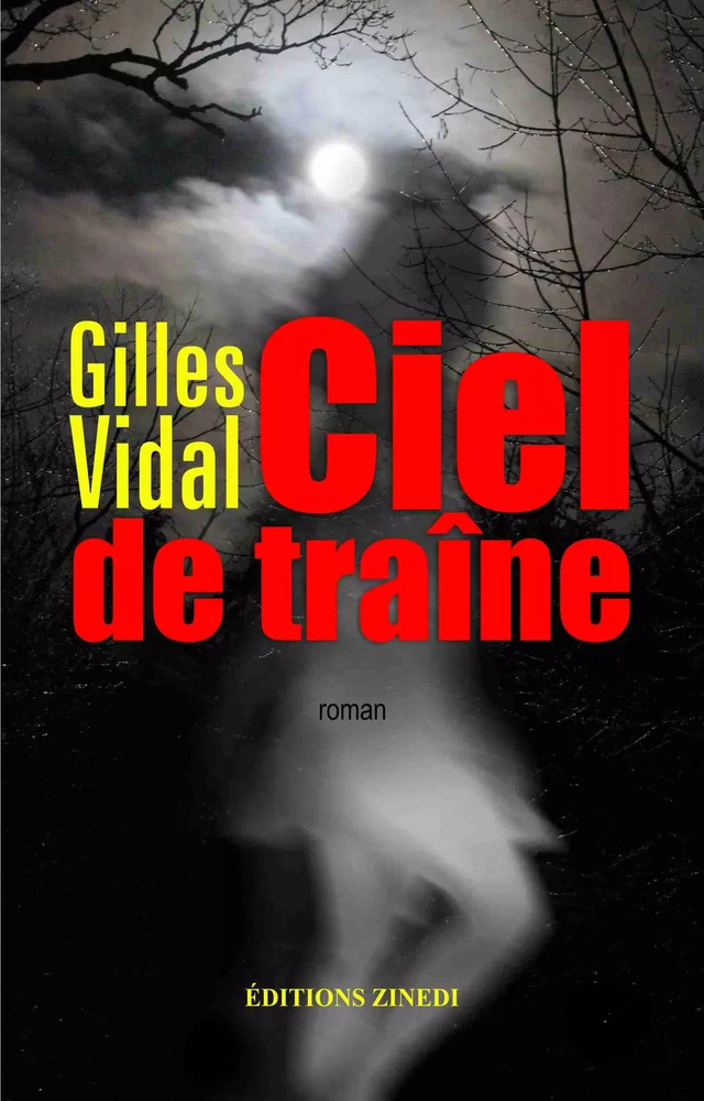 Ciel de traîne - Gilles Vidal - Zinedi