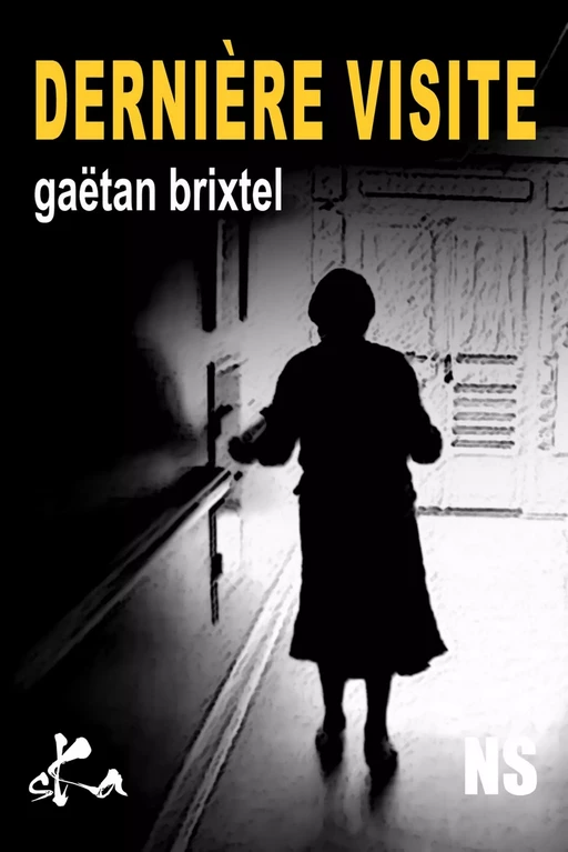 Dernière visite - Gaëtan Brixtel - SKA