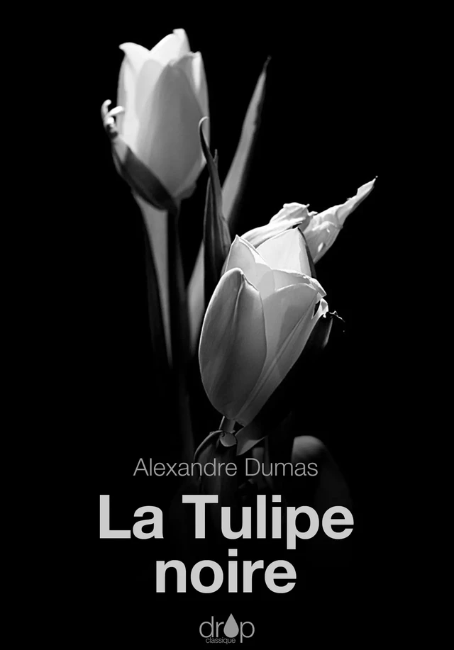 La Tulipe noire - Alexandre Dumas - Les éditions Pulsio