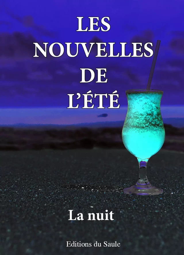 les nouvelles de l'été - La nuit - Gavriel Howard Feist, Claudine Couppé, Anne-Laure Guillaumat, Nathalie Vedrine, Aurélie Torre, Marie-Rachel Aparis, Michel Giraud, Sandrine Waronski, Danielle Kleden - Editions du Saule