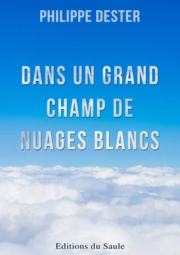 Dans un grand champ de nuages blancs