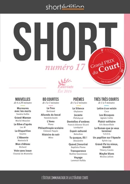 SHORT 17