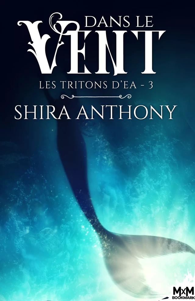 Dans le vent - Shira Anthony - MxM Bookmark