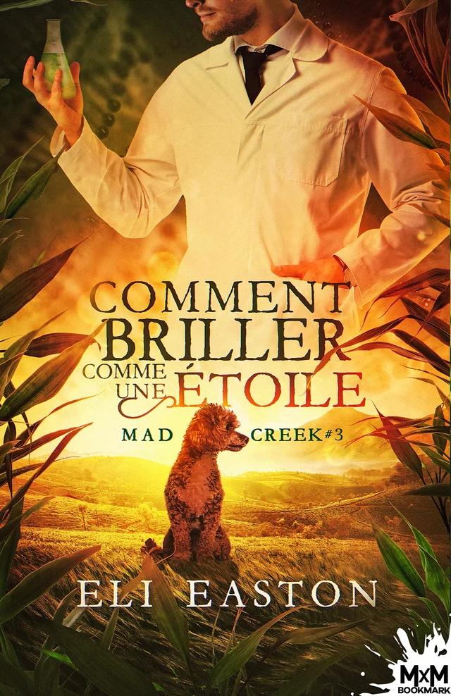 Comment briller comme une étoile - Eli Easton - MxM Bookmark