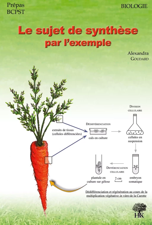 Le sujet de synthèse par l'exemple - Alexandra Goudard - H & K