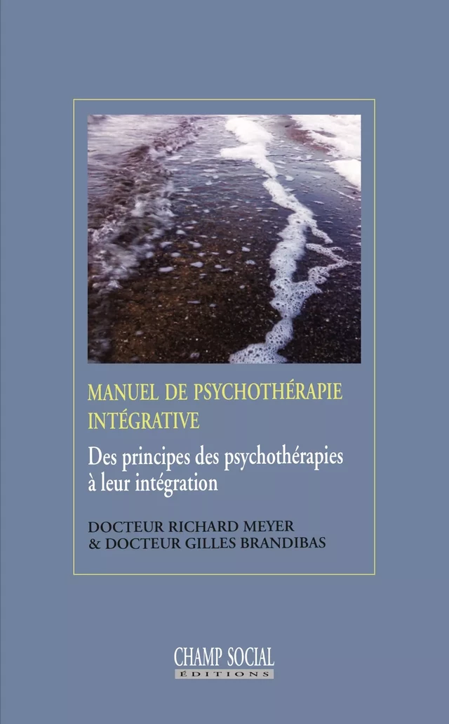 Manuel de psychothérapie intégrative - Brandibas Gilles, Meyer Richard - Champ social Editions