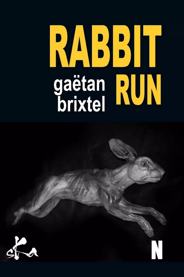 Rabbit Run - Gaëtan Brixtel - SKA