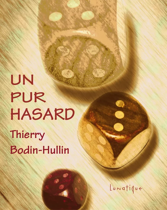 Un pur hasard - Thierry Bodin-Hullin - Editions Lunatique