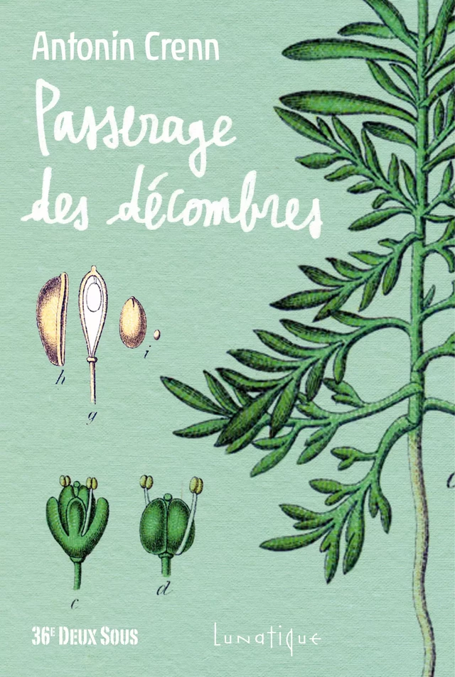 Passerage des décombres -  - Editions Lunatique