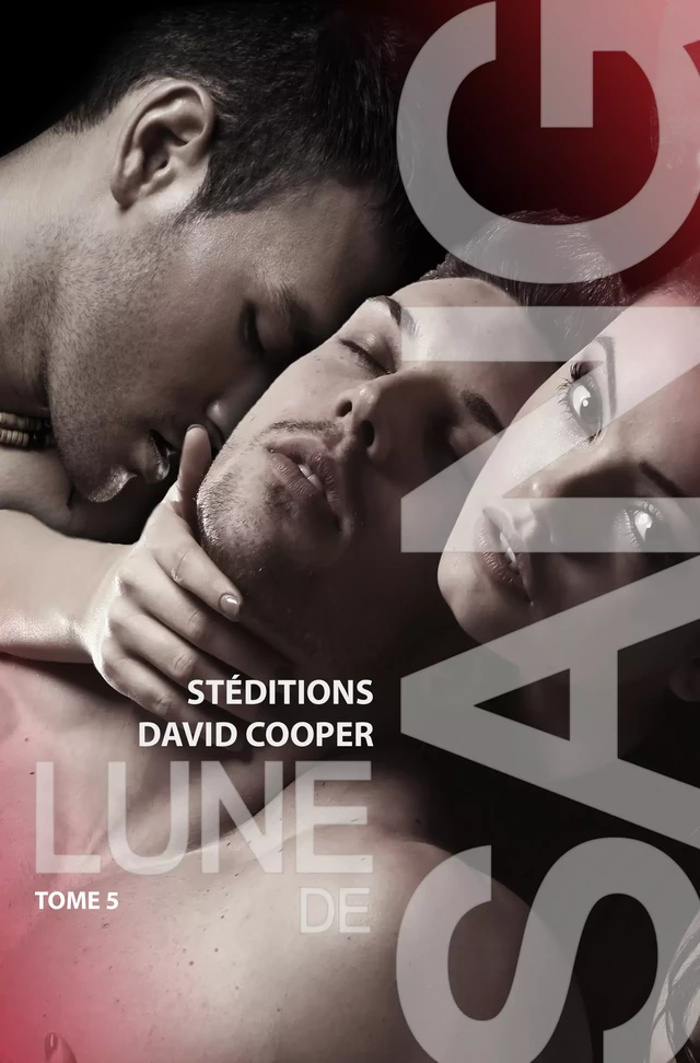 Lune de sang - Tome 5 [Livre gay, roman gay] - David Cooper - STEDITIONS