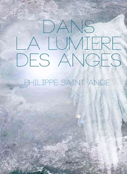 Dans la lumiere des anges