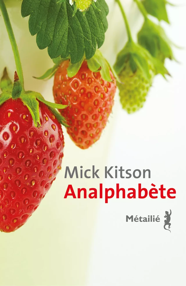 Analphabète - Mick Kitson - Métailié