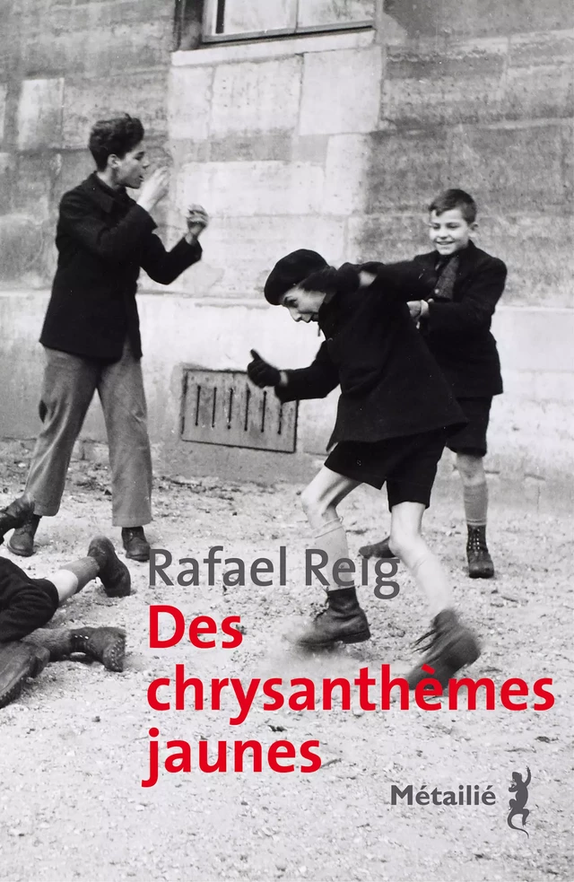 Des chrysanthèmes jaunes - Rafael Reig - Métailié