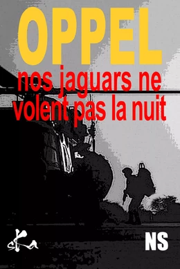 Nos Jaguars ne volent pas la nuit