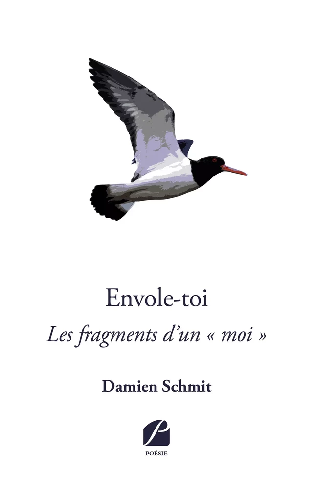 Envole-toi - Damien Schmit - Editions du Panthéon