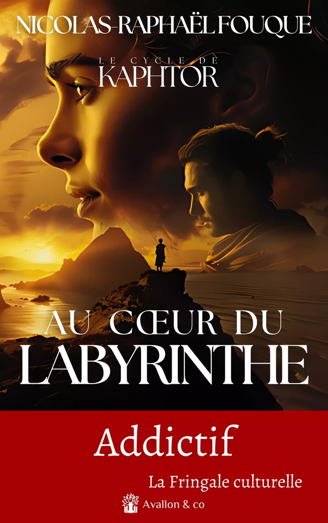 Au coeur du labyrinthe - Nicolas-Raphaël Fouque - Avallon & Combe