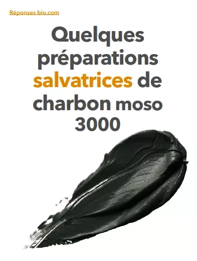 Quelques préparations salvatrices de charbon moso 3000 - Jean-Baptiste Loin - Terra Media