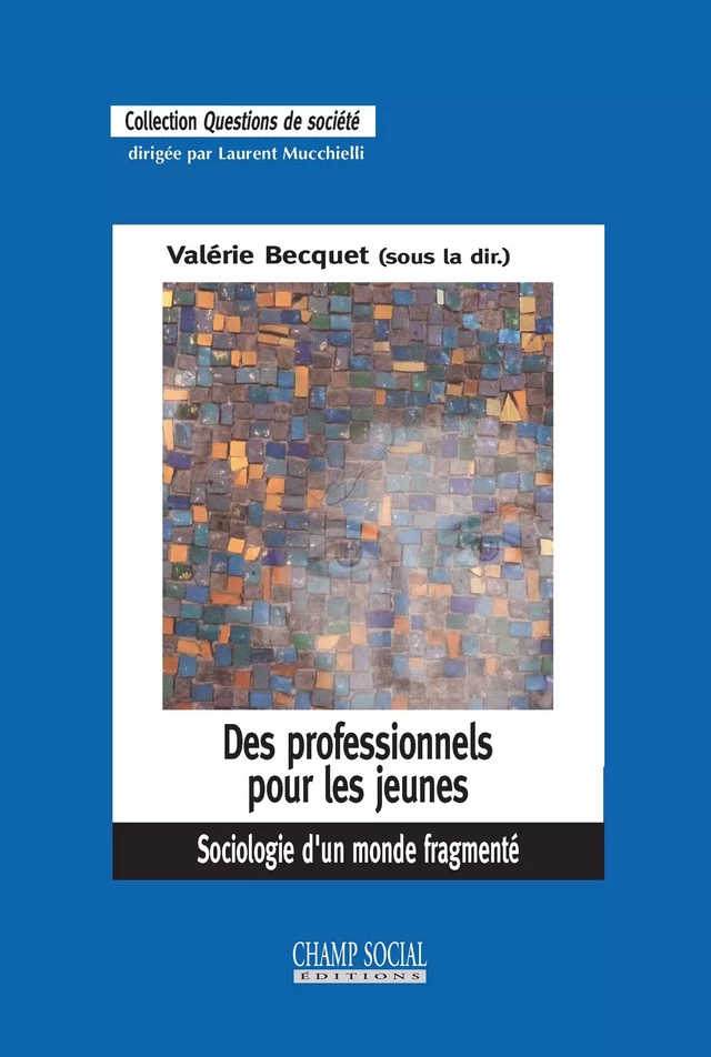 Des professionnels pour les jeunes. Sociologie d'un monde fragmenté - Valérie Becquet - Champ social Editions