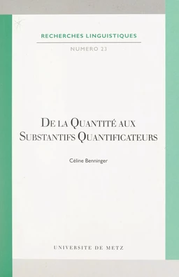 De la quantité aux substantifs quantificateurs