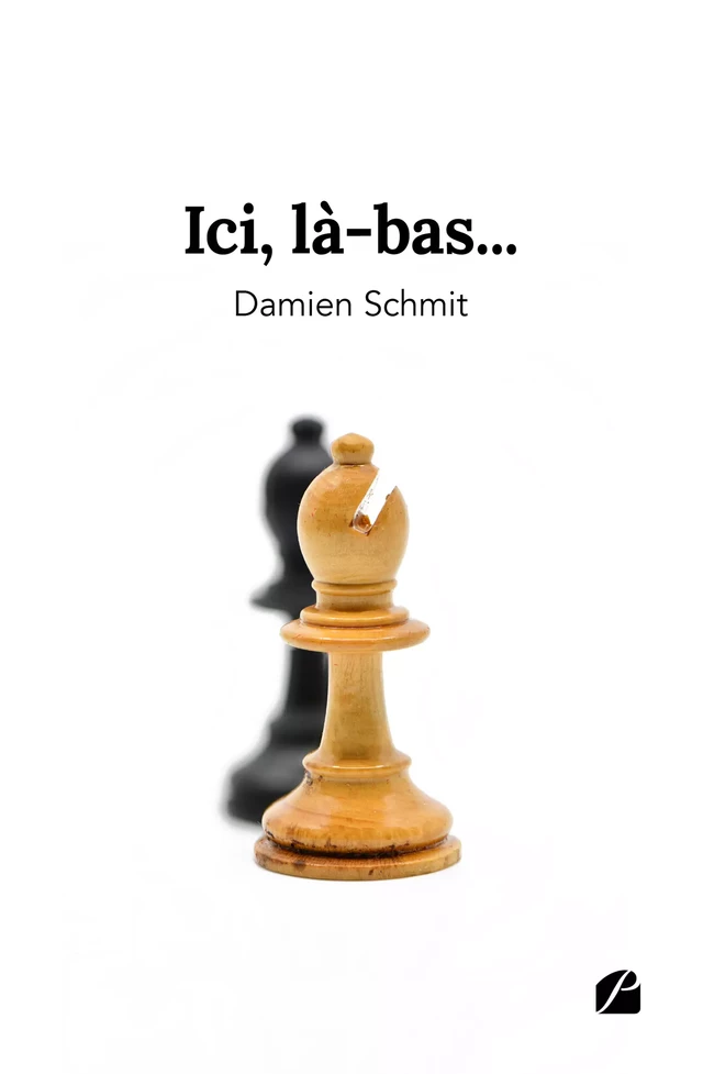 Ici, là-bas... - Damien Schmit - Editions du Panthéon