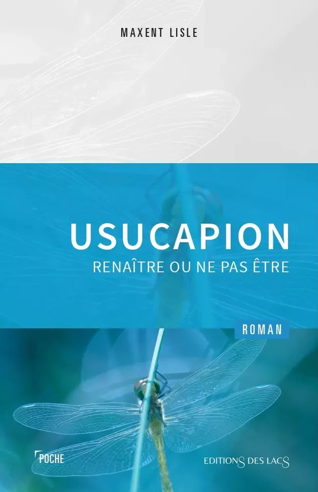 Usucapion - Maxent Lisle - Éditions des lacs