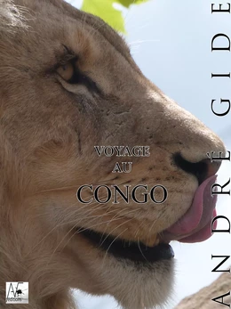 Voyage au Congo