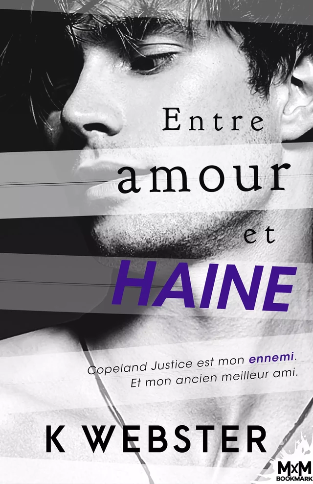 Entre amour et haine - K. Webster - MxM Bookmark