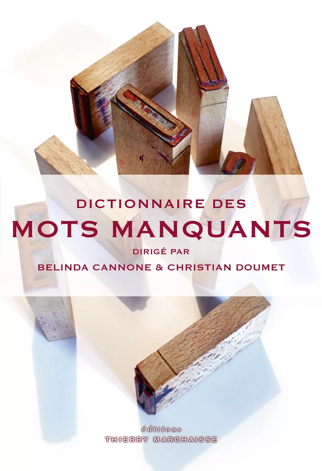 Dictionnaire des mots manquants - Belinda Cannone, Christian Doumet - Éditions Thierry Marchaisse