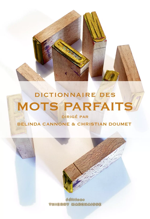 Dictionnaire des mots parfaits - Belinda Cannone, Christian Doumet - Éditions Thierry Marchaisse