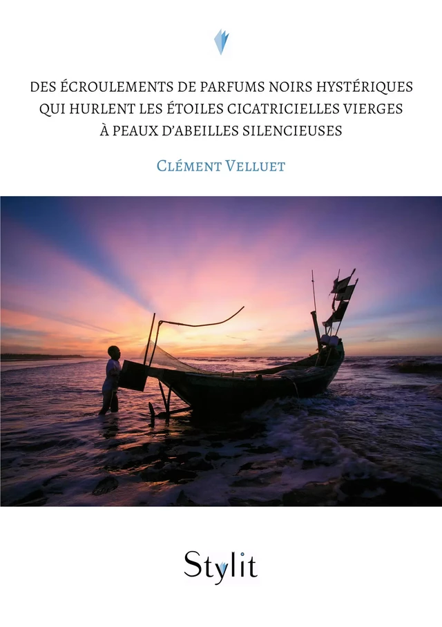 Des écroulements de parfums noirs hystériques qui hurlent les étoiles cicatricielles vierges à peaux d’abeilles silencieuses - Clément Velluet - Stylit