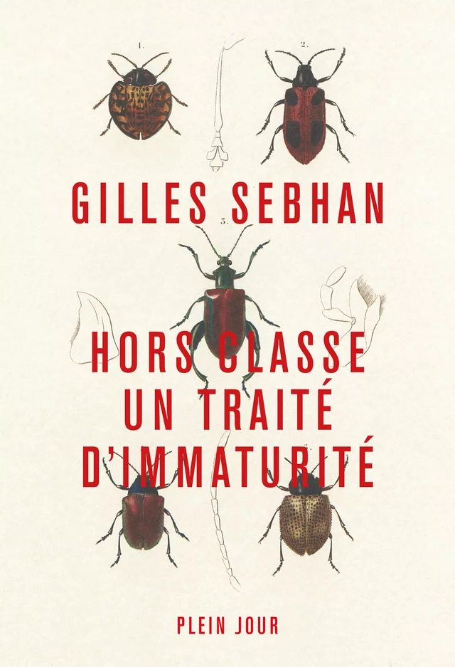 Hors classe - Gilles Sebhan - Plein Jour