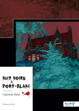 Nuit noire à Port-Blanc