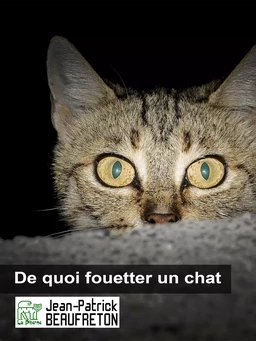 De quoi fouetter un chat