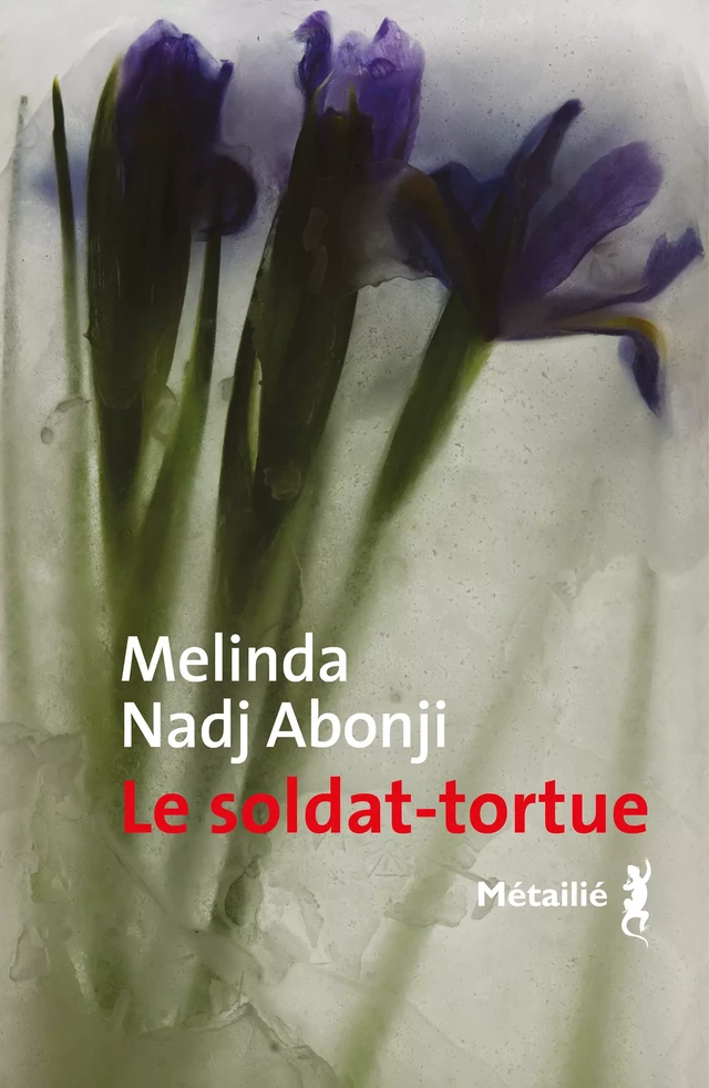 Le Soldat-tortue - Melinda Nadj Abonji - Métailié