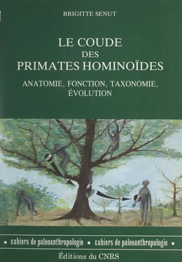 Le coude des primates hominoïdes