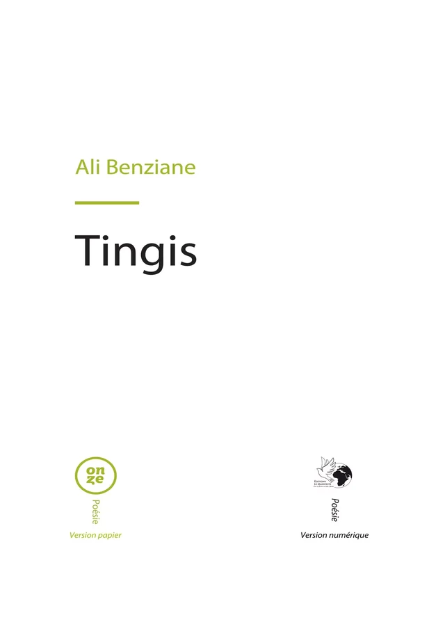 Tingis - Ali Benziane - Editions Le Manifeste