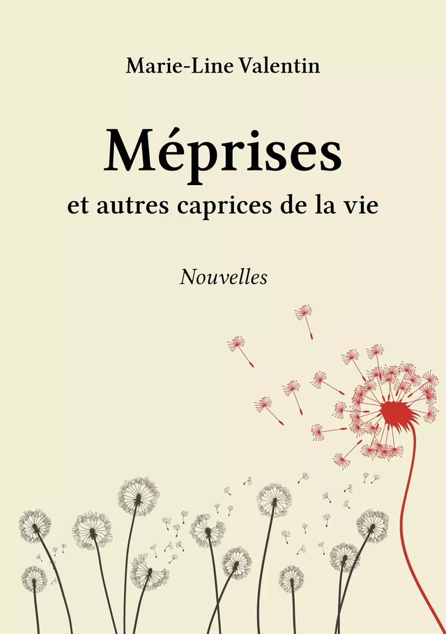 Méprises et autres caprices de la vie - Marie-Line Valentin - Stylit