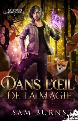 Dans l’œil de la magie