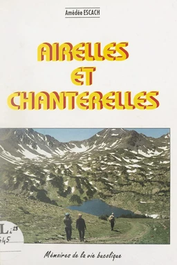 Airelles et chanterelles