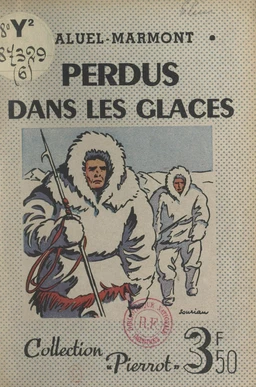 Perdus dans les glaces